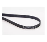 1x Courroie trapézoïdale à nervures CONTINENTAL CTAM 6PK2260 convient pour VW