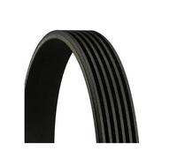 1x Courroie trapézoïdale à nervures CONTINENTAL CTAM 6PK2415 convient pour