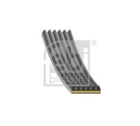 FEBI BILSTEIN 182095 Courroie Poly-V