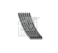 1x Courroie trapézoïdale à nervures FEBI BILSTEIN 37539 convient pour BMW VW