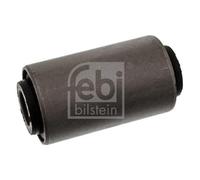 1x Coussinet de palier, ressort à lames FEBI BILSTEIN 43296 convient pour