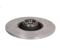 1X Disque de frein DELPHI BG9023RS pour RENAULT VEL SATIS (BJ0_) 3 2002-2006