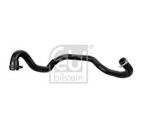 1x Durite de radiateur FEBI BILSTEIN 178467 convient pour FORD