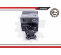 1x ESEN SKV Jeu De Roulement De Moyeu De Roue Arrière Pour Suzuki Swift IV FZ NZ