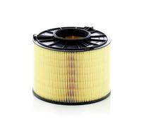 1x Filtre à air MANN-FILTER C 17 012/1 convient pour VAG