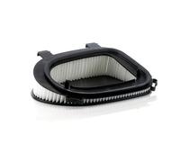 MANN-FILTER Filtre à air pour BMW: X3, X5, X6 (Ref: C 36 014)