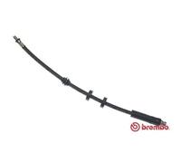 1x Flexible de frein BREMBO T 24 049 convient pour FORD JAGUAR