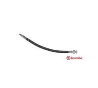 1x Flexible de frein BREMBO T 54 040 convient pour MITSUBISHI