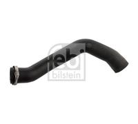 1x Gaine de suralimentation FEBI BILSTEIN 103163 convient pour VW