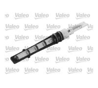 1x Gicleur, détendeur VALEO 508967 convient pour FORD