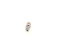 Bosch Soupape de trop-plein du système d'injection 1 417 413 049