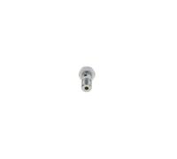 BOSCH 2 417 413 035 Gicleur, injection