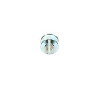 1x Interrupteur, préchauffage BOSCH 0 343 401 001 convient pour DAF KHD MAN