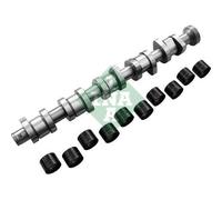 Ina Jeu d'arbres à came hydraulique 428 0040 30