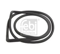 1x Joint d'étanchéité, pare-brise FEBI BILSTEIN 03012 convient pour
