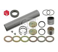 FEBI BILSTEIN 10608 Kit d'assemblage, pivot de fusée d'essieu