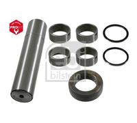 1x Kit d'assemblage, pivot de fusée d'essieu FEBI BILSTEIN 11403