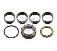 FEBI BILSTEIN 15881 Kit d'assemblage, pivot de fusée d'essieu