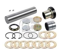 FEBI BILSTEIN 171302 Kit d'assemblage, pivot de fusée d'essieu
