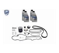 1x Kit de courroie crantée VAICO V22-0886 convient pour BMW CHRYSLER CITROËN