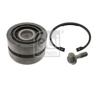 1x Kit de réparation, jambe de guidage FEBI BILSTEIN 178980 convient pour DAF