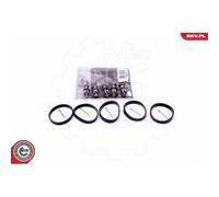 1x Kit de réparation, module de tube d’aspiration ESEN SKV 49SKV524