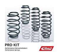 1x Kit de suspension, ressorts EIBACH E10-65-013-03-22 convient pour