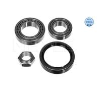 1x MEYLE Kit de Roulements de Roue Arrière pour Fiat Ducato 230