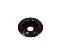 1x Patin de ressort VAN WEZEL 5880394 convient pour
