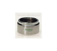 1x Piston, étrier de frein TRISCAN 8170 235413 convient pour