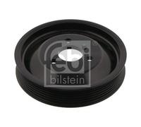 Febi Bilstein (Ferdinand Bilstein) Poulie 37225 - Pompe de direction assistée