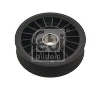 1x Poulie renvoi/transmission, courroie trapézoïdale à nervures FEBI BILSTEIN
