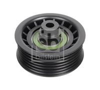 1x Poulie renvoi/transmission, courroie trapézoïdale à nervures FEBI BILSTEIN