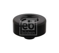 1x Poulie renvoi/transmission, courroie trapézoïdale à nervures FEBI BILSTEIN