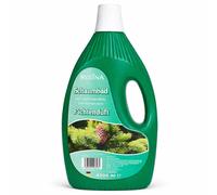 1x REGINA Bain De Fête Épicéa 4 Litres Soin Bain Additif Bain Parfum Épicéa