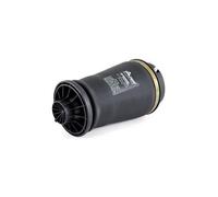 Arnott Ressort pneumatique ARNOTT EUROPE A-2596