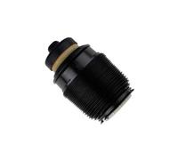 1x Ressort pneumatique, châssis BILSTEIN 40-303468 convient pour BAOLONG
