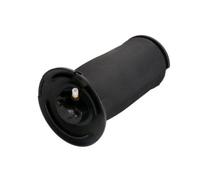 1x Ressort pneumatique, châssis Magnum Technology MZB015MT convient pour BMW