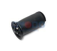 1x Ressort pneumatique, châssis Oyodo 40A0003-OYO convient pour BMW