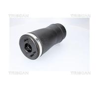 1x Ressort pneumatique, châssis TRISCAN 8720 11205 convient pour BMW