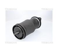 1x Ressort pneumatique, châssis TRISCAN 8720 23210 convient pour