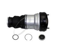 1x Ressort pneumatique, châssis TRUCKTEC AUTOMOTIVE 02.30.287 convient pour
