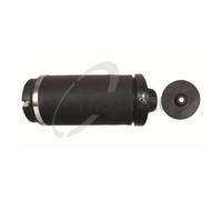 1x Ressort pneumatique, châssis TRUCKTEC AUTOMOTIVE 02.30.384 convient pour