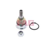 1x Rotule de suspension Schaeffler FAG 825 0227 10 convient pour NISSAN