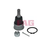 Rotule FAG 825 0424 10