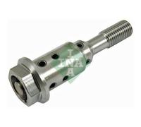 1x Soupape centrale, réglage de l'arbre à cames Schaeffler INA 427 0038 10