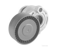 HERTH+BUSS JAKOPARTS J1141066 Galet tendeur de courroie d'accessoire