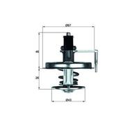 MAHLE TX 22 84D Thermostat d'eau