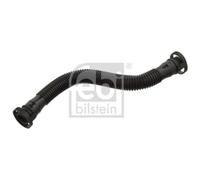1x Tuyau, ventilation de carter-moteur FEBI BILSTEIN 172887 convient pour BMW