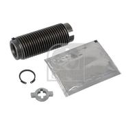 1x Vis, étrier de frein FEBI BILSTEIN 173089 convient pour DAF RENAULT TRUCKS